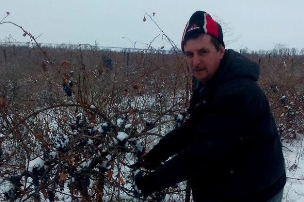 Глава КФХ «Винодельня Молчанова» прокомментировал отдельные пункты документов, касающихся развития виноградарства и виноделия в стране