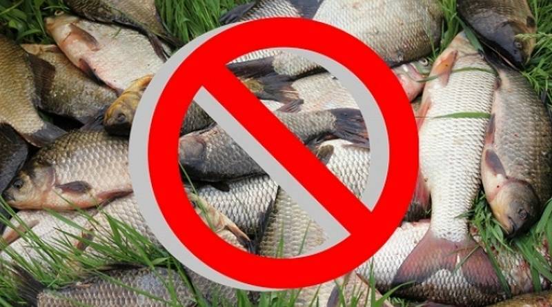 Рыболовы любители — собираясь на рыбалку, помните о правилах