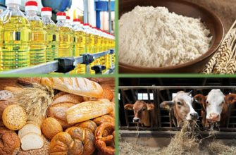 сельское хозяйство