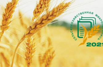 сельхозперепись