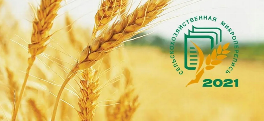 сельхозперепись