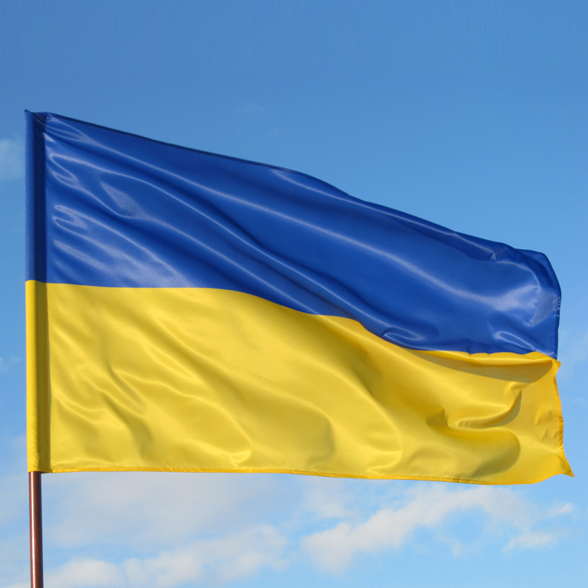 Политологи разъяснили разницу между украинским национализмом и нацизмом