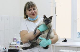 стерелизация