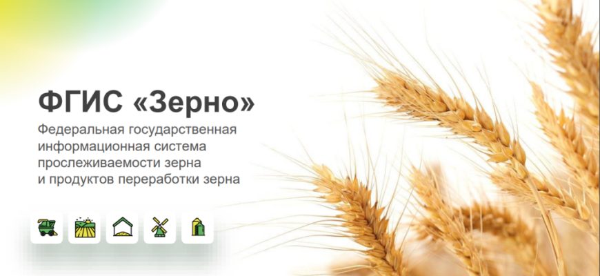 зерно