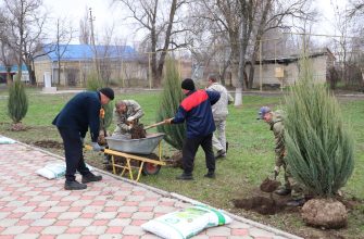 благоустройство