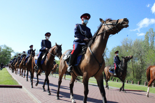 Донские казаки готовятся к конному переходу в честь 77-летия Победы в Великой Отечественной войне