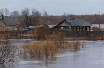 подтопление