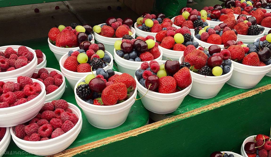 Гастроэнтеролог: риск заражения от фруктов, овощей и ягод есть даже при покупке в магазинах