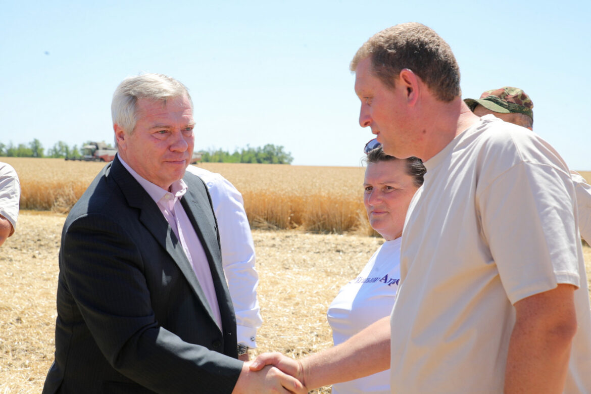Василий Голубев: «На Дону собрано более 6,4 млн тонн зерна»