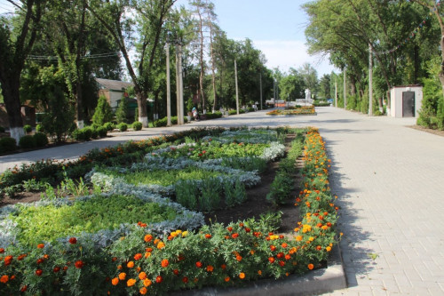Улучшением качества городской среды на Дону займется рабочая группа