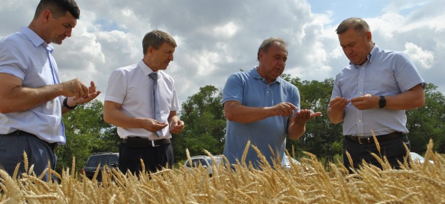 урожай 2022