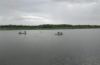 водоемы