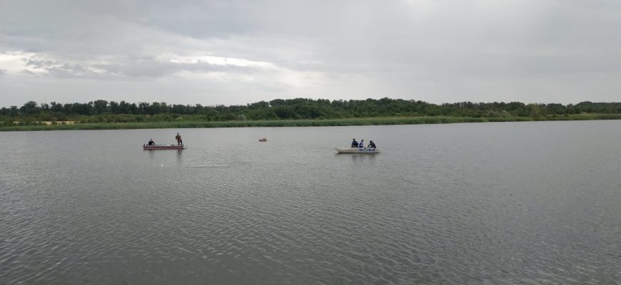 водоемы