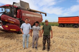 рывбхоз грачики