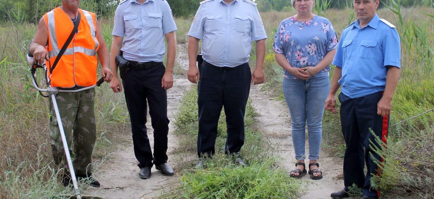 рейд по конопле