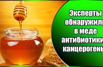 мед