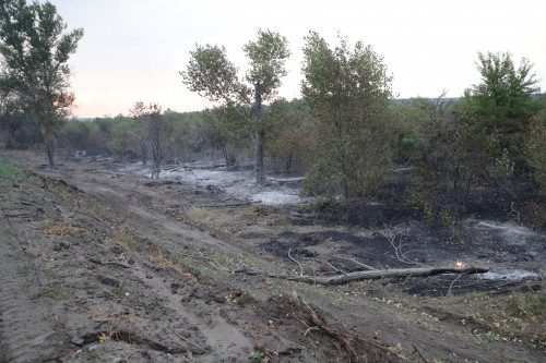 Природный пожар в Усть-Донецком районе локализован