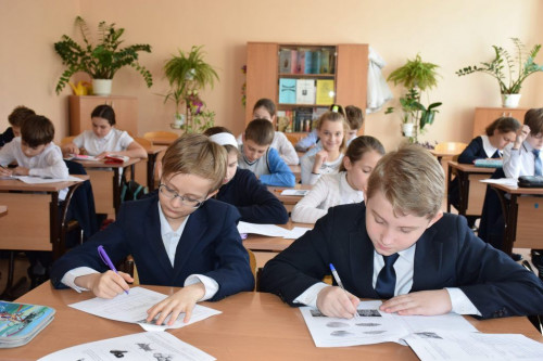 Донские школьники напишут Всероссийские проверочные работы