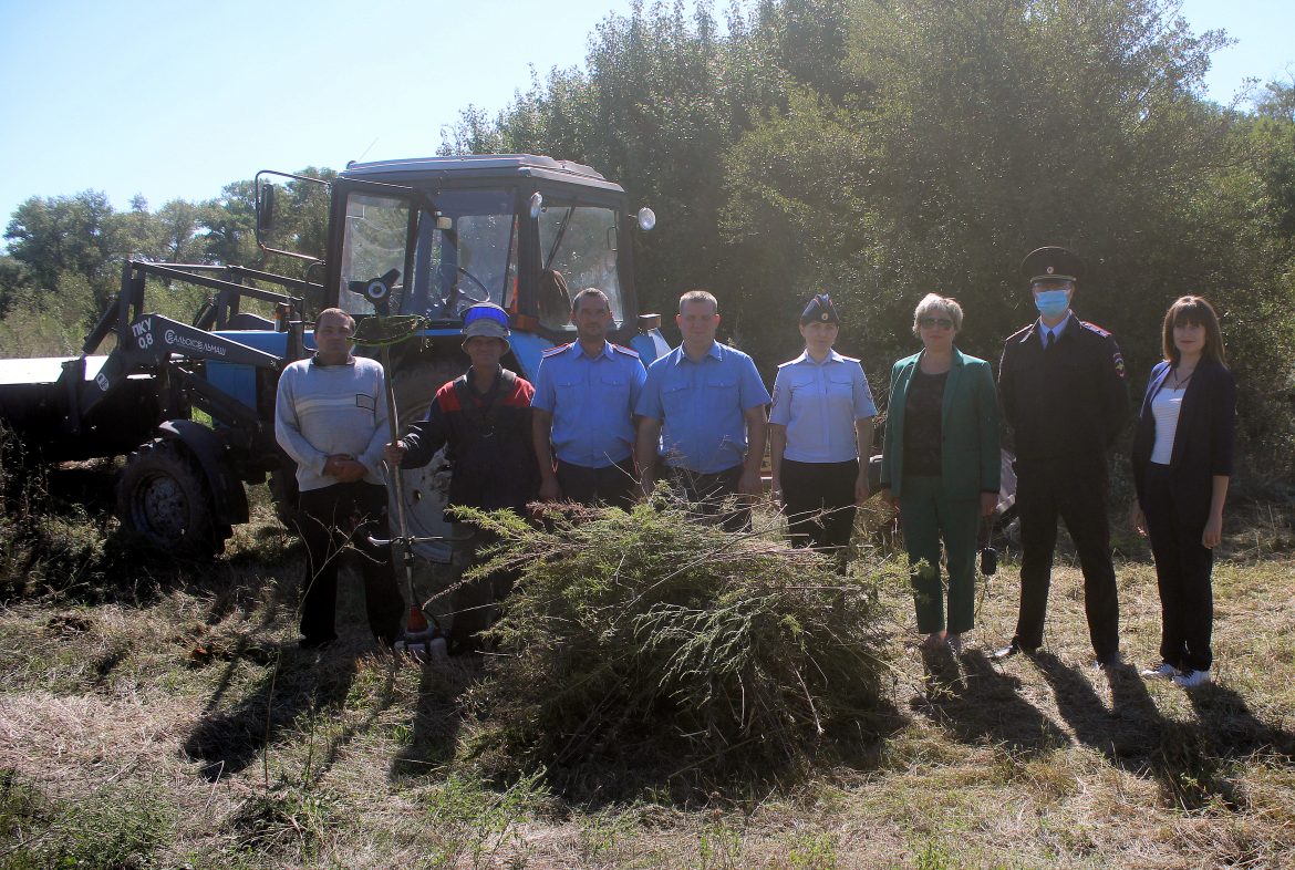 В Волгодонском районе подвели итоги областной антинаркотической акции «Единый день борьбы с дикорастущей коноплёй»