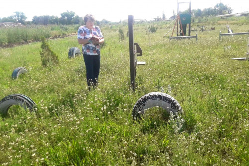 На Дону за нескошенную сорную траву нарушители оштрафованы на сумму более 1 миллиона рублей