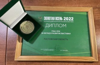 выставка