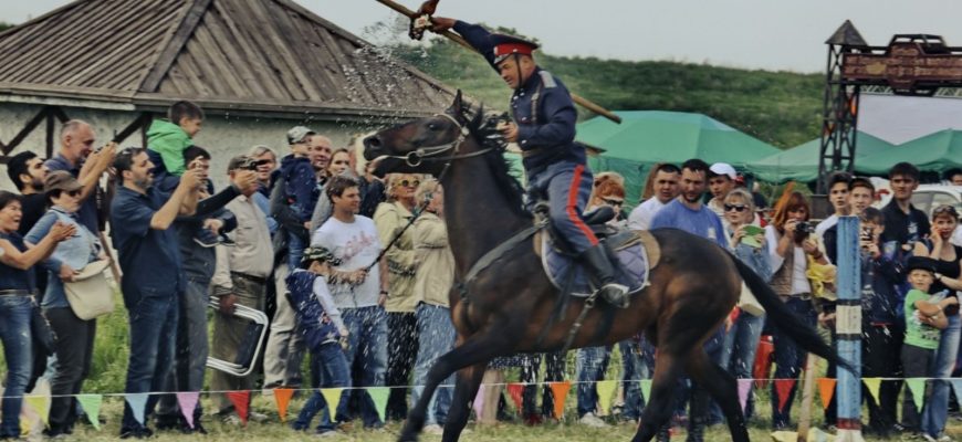 шермиции