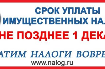 налоговая