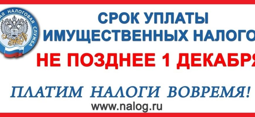 налоговая