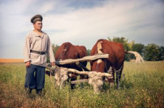 Мишка и Тишка