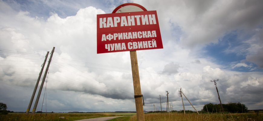 карантин