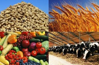 продовольствие