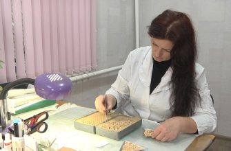 СЕЛЕКЦИОНЕРЫ