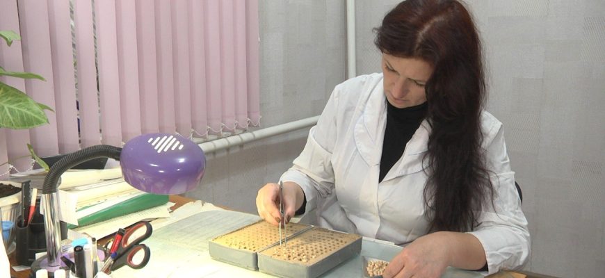 СЕЛЕКЦИОНЕРЫ