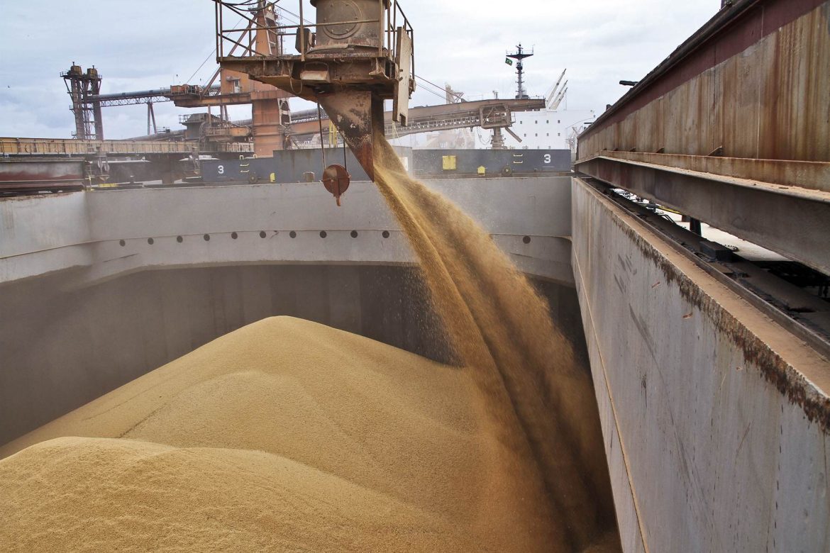 С территории Ростовской области в октябре отгрузили на экспорт более 480 тыс. тонн зерна