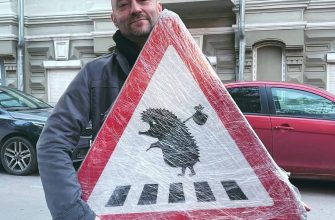 осторожно ежики
