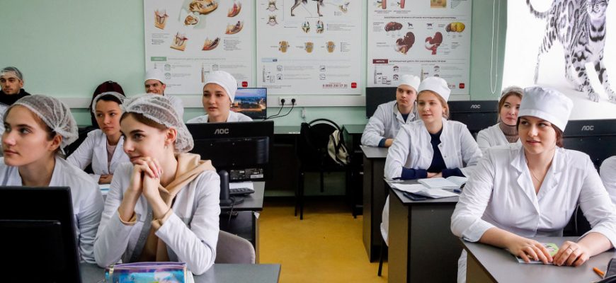 студенты