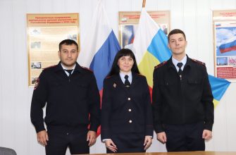 участковые