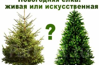 елки