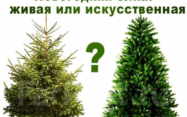 елки