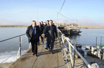 рыбное хозяйство