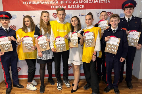 Волонтеры общероссийской акции #МЫВМЕСТЕ приносят «Новый год в каждый дом»