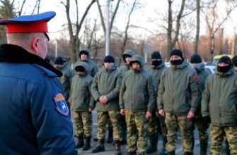 мобилизованные