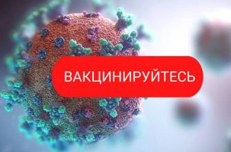 вакцинация