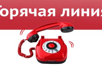 горячая линия
