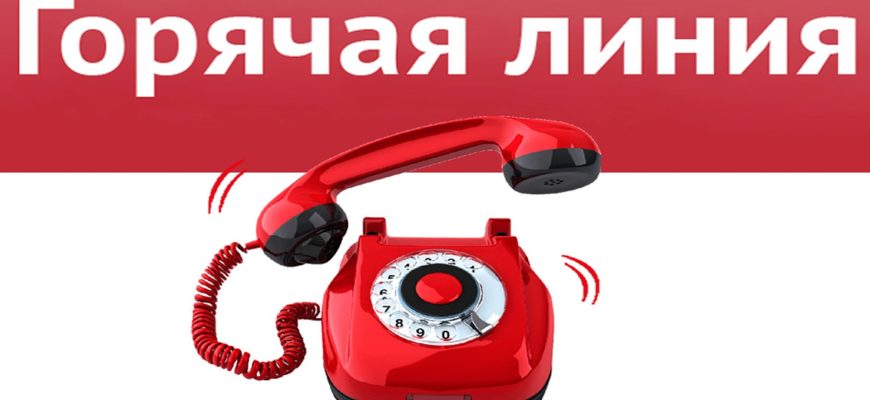 горячая линия