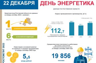 День энергетика