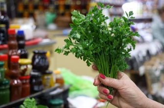 продовольствие