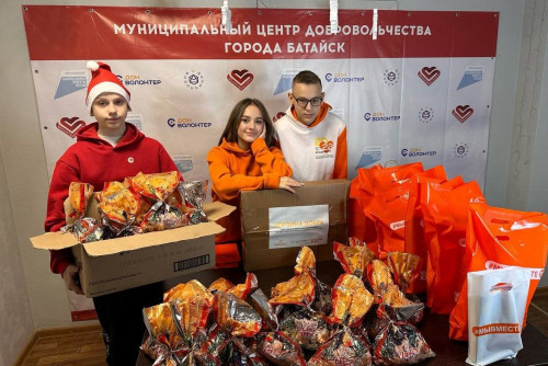 Более 400 донских волонтеров приняли участие в акции «Новый год в каждый дом»