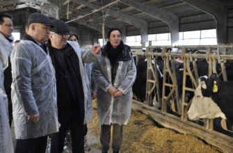 животноводство