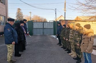 добровольцы